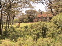 Photo from Susan's Story, the beautiful setting of the AFCA Giraffe Park