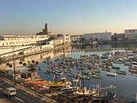 the yacht harbor in Algiers