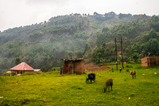 scenery in the mountains near Bwindi