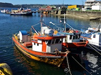 Susan's Story, colorful fishing boats in the harbor in Castro, Chile