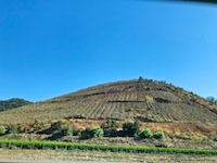 Photo from Susan's Story, Scenery we saw on our trip from San Antonio to Santiago in Chilie in 2018