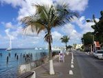 Photo from Susan's Story, Bonaire, View on our walk to the beach in Bonaire