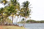 Devil’s Island, French Guiana. Photo from Susan's Story, The view of Devil's Island from Isle Royal showing the terrible currents