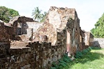 Devil’s Island, French Guiana. Susan's Story, Artistic photo of some Ruins of the prison walls