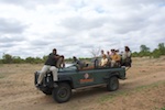 Motswari. On the Land Rover Defender on our game drive
