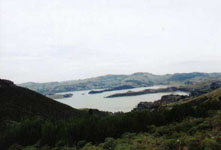 Susan's Story, a view from the top of the mountain near Christchurch New Zealand