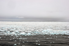 Photo from Susan's Story, the Arctic ice cap from our ship
