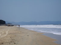 Photo from Susan's Story, the beach at Goa