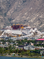 Susan's Story, 