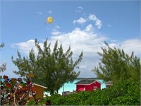 Photo from Susan's Story, Half Moon Cay, Bahamas