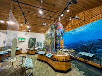 Photo from Susan's Story, The displays inside the Biscayne Bay National Park Visitor Center