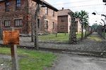 Photo from Susan's Story, Europe 2018, Auschwitz