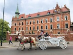 Photo from Susan's Story, Europe 2018, A hores carriage in oldtown Krakow
