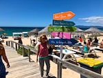 Photo from Susan's Story, Europe 2018, Susan at the beach in Comporta, Portugal