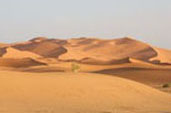 Photo from Susan's Story, The Sahara desert 