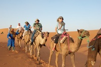 Susan's Story, Our camel caravan on the Sahara desert