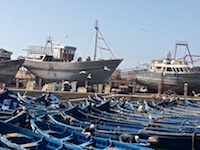 Photo from Susan's Story, Fishing boats in the port