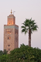 Susan's Story, Main heading photograph of A Minaret and a palm tree I saw in Morocco