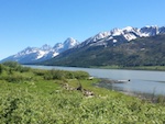 Susan's Story, the rugged peaks of the Grand Tetons