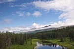 Susan's Story, Beautiful scenery we saw from our train on the way to Denali National Park in Alaska