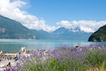 Susan's Story, One of many beautiful views from the Sea to Sky Parkway in British Columbia