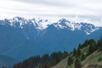 Susan's Story, A view from the visitor Center at Hurricane Ridge in Olympic National Park, Washington
