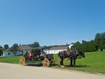 Susan's Story, a horse and buggy on Mackinac Island 