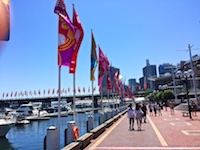 Susan's Story, Darling Harbor Sydney during the Chinese Lunar New Year