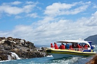 Photo from Susan's Story, Our boat while we were in the Great Southern Ocean watching seals