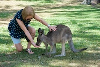 Susan's Story, Susan feeding a friendly kangaroo at Lone Pine
