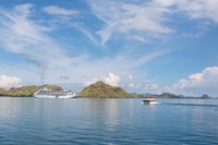 Susan's Story, Our ship, the Insignia, from the tender dock on Komodo Island
