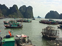 Susan's Story, A view from the shore of boats in the harbor from the market area of Ha Long City, Vietnam