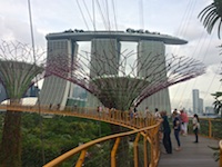 Susan's Story, The magnificent Skyway between Super Trees in the Garden by the Bay in Singapore
