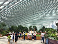 Susan's Story, An overall view inside the Flower Dome in the Garden by the Bay in Singapore