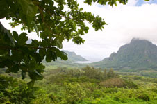 Photo from Susan's Story, The mountains of Moorea