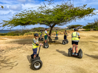 Susan's Story, Segway to the California Lighthouse
