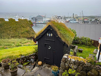 Photo from Susan's Story, 