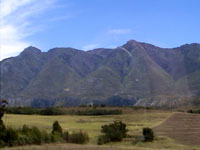 Photo from Susan's Story, scenery from the Garden Route