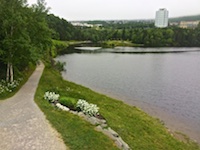Photo from Susan's Story, The start of the Corner Brook Stream trail